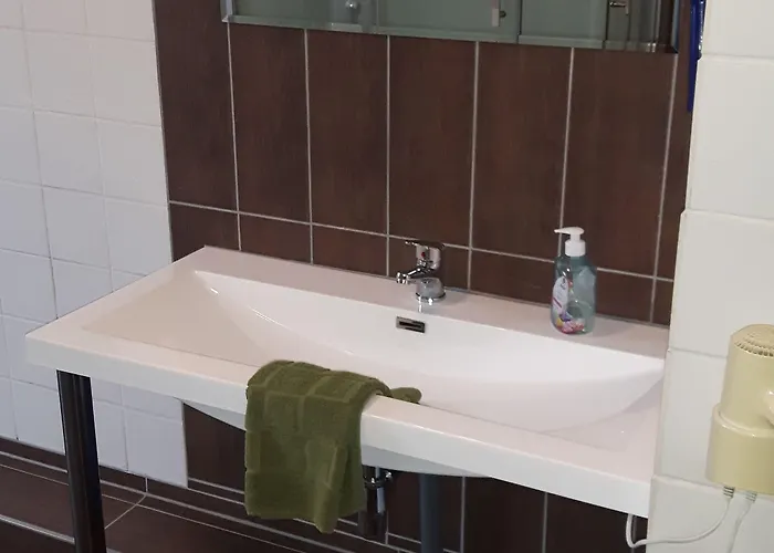 & Plagwitzer Hof فندق 2*