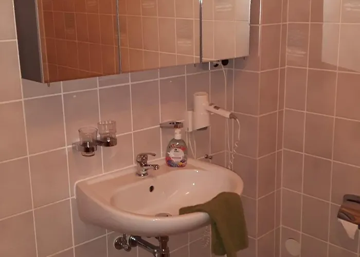 فندق & Plagwitzer Hof 2*